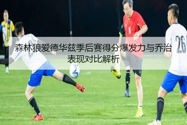 森林狼爱德华兹季后赛得分爆发力与乔治表现对比解析