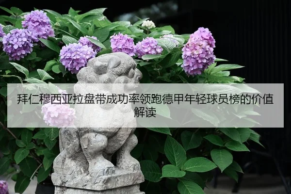 拜仁穆西亚拉盘带成功率领跑德甲年轻球员榜的价值解读