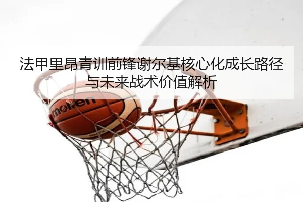 法甲里昂青训前锋谢尔基核心化成长路径与未来战术价值解析